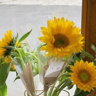 k8凯发国际官网入口